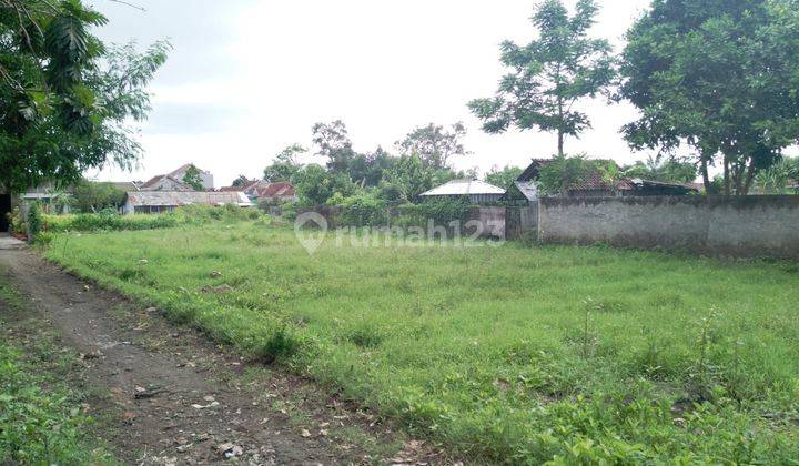 DIJUAL SEBIDANG TANAH LUAS SHM DI BERBAH 2