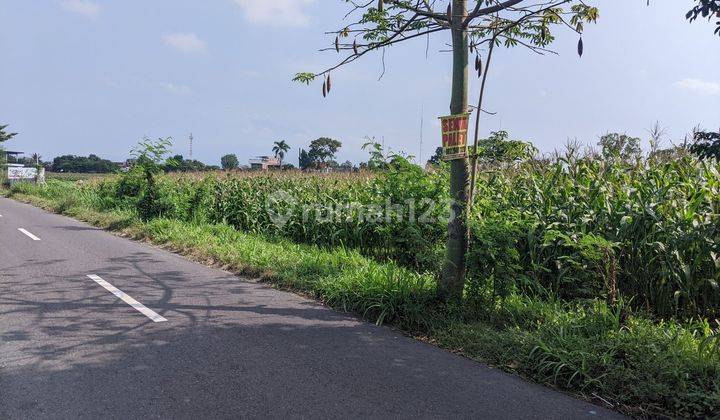 DIJUAL SEBIDANG TANAH LUAS SHM DI PRAMBANAN KLATEN 2