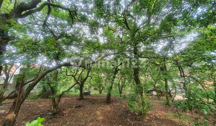 Tanah Luas Akses Strategis Dekat Pintu Tol Sawangan Tanah Luas Akses Strategis Dekat Pintu Tol Sawangan