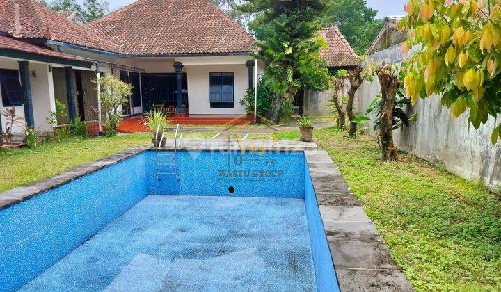 Jual Cepat Rumah Dengan Tanah Super Luas Di Maguwo 1