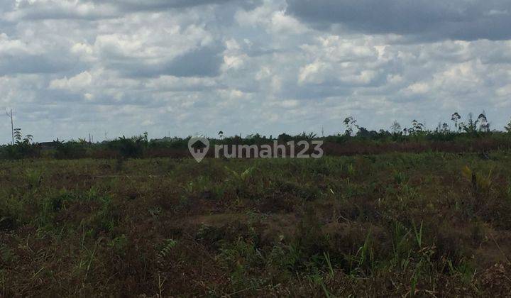 DIJUAL CEPAT HARGA NEGO KERAS TANAH LUAS DI SUNGAI RAYA 2