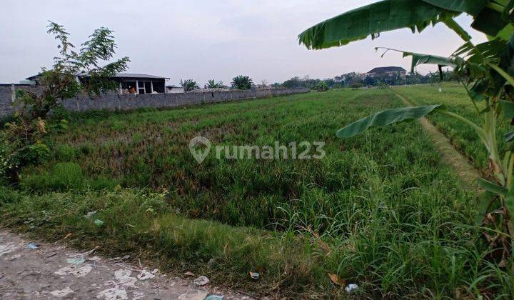 Tanah Kwasaran Dekat Pusat Kota Solo Cocok Untuk Perumahan 1