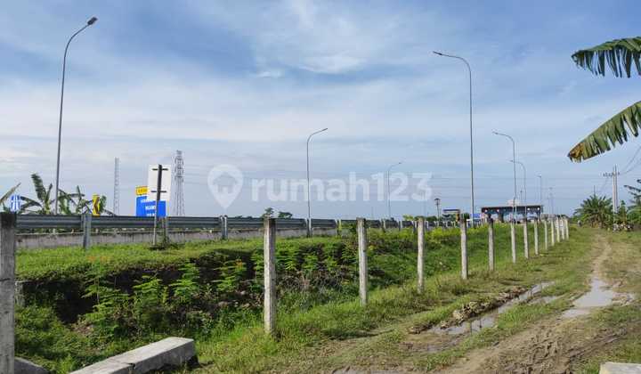 Tanah Ngawi Dekat Pintu Tol Cocok Untuk Investasi 3