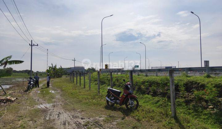 Tanah Ngawi Dekat Pintu Tol Cocok Untuk Investasi 4