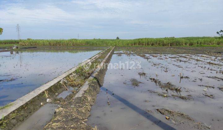 Tanah Ngawi Dekat Pintu Tol Cocok Untuk Investasi 5