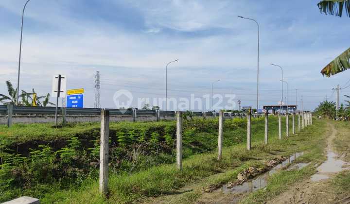 Tanah Ngawi Dekat Pintu Tol Cocok Untuk Investasi 10