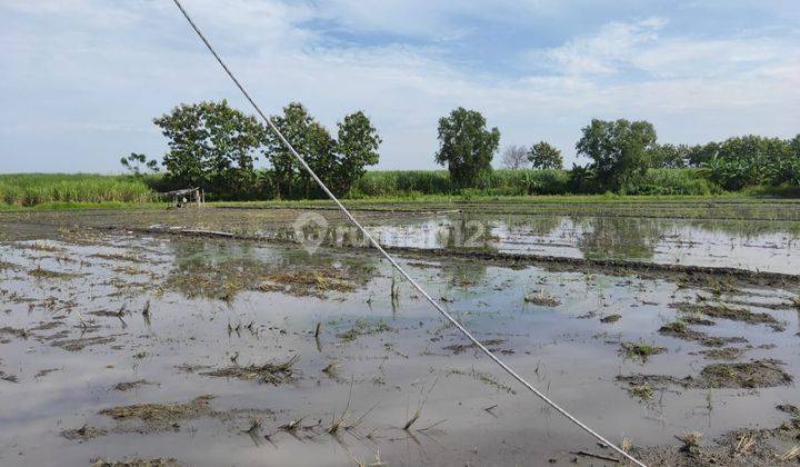 Tanah Ngawi Dekat Pintu Tol Cocok Untuk Investasi 11