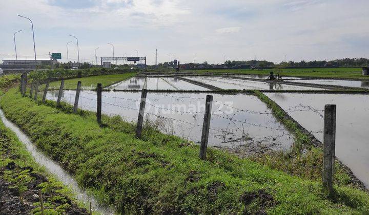 Tanah Ngawi Dekat Pintu Tol Cocok Untuk Investasi 12