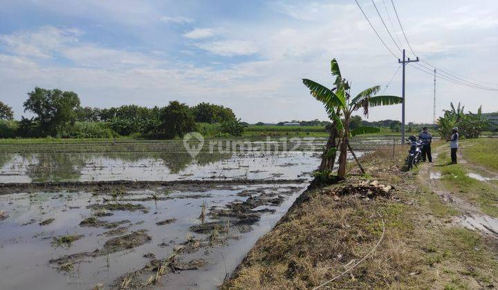 Tanah Ngawi Dekat Pintu Tol Cocok Untuk Investasi 13