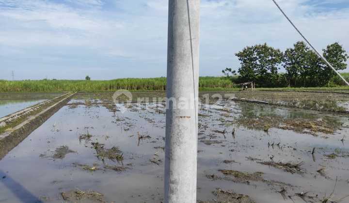 Tanah Ngawi Dekat Pintu Tol Cocok Untuk Investasi 7