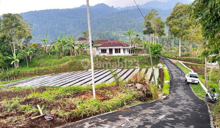 Dujual Tanak Kavling Murah di Kemuning, Ada 3 Kavling 1