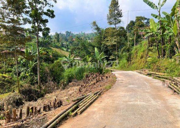 Dijual Tanah di Kawasan Kebun Teh di Kawasan Wisata Kemuning