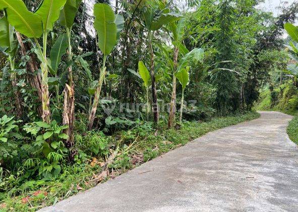 Dijual Tanah di Kawasan Kebun Teh di Kawasan Wisata Kemuning 2