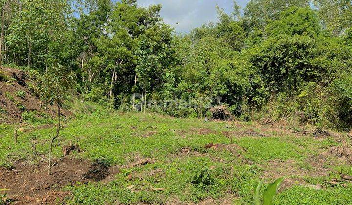 Dijual Tanah Kebun Durian Kerjo Karanganyar 1