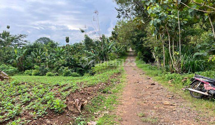 Dijual Tanah Sawah Bendungan, Kedawung, Sragen.  1