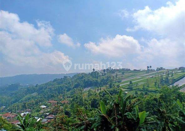 Dijual Tanah Samping Kebun Teh Utara Pasar Kemuning, Ngargoyoso 2