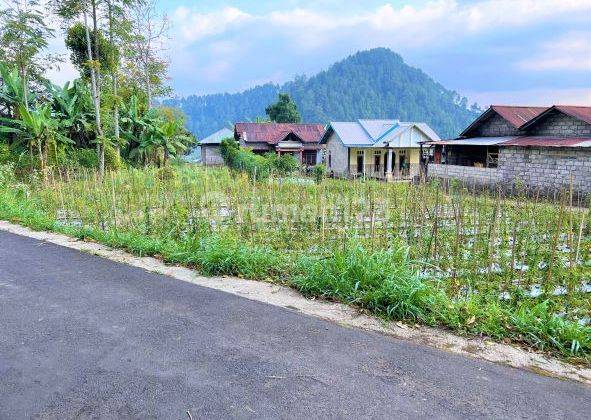 Dijual Tanah Datar Lokasi Kemuning, Ngargoyoso 1