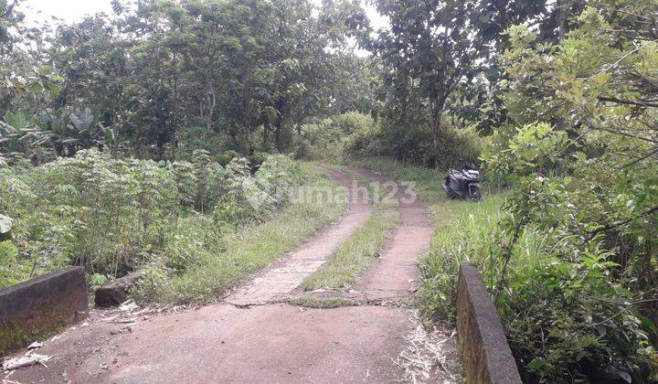 Dijual Tanah Pekarangan Cocok Untuk Invest di Jumantono 1