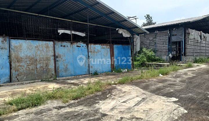 Dijual Tanah Luas 11 Hektar, Lokasi di Semanu, Gunung Kidul 1