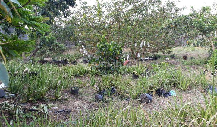 Dijual Tanah Siap Bangun, Sudah Pagar Keliling di Plesungan 2