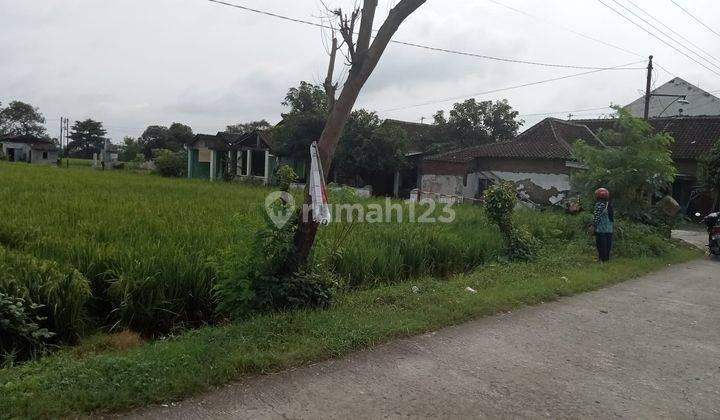 Dijual Tanah Sawah di Jaten, Karanganyar 1