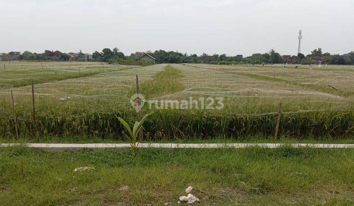 Dijual Tanah Sawah di Ngemplak, Boyolali 1