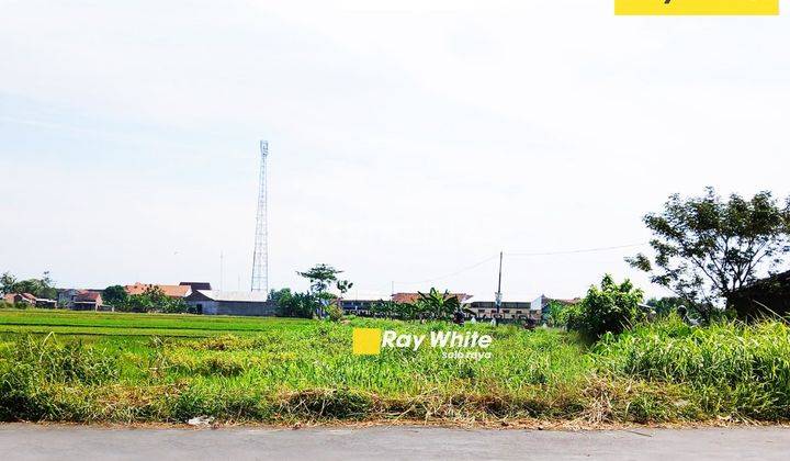 Dijual Tanah di Gatak, Sukoharjo Posisi Hook Dapat 2 Jalan Cocok Dipecah Kavling 2