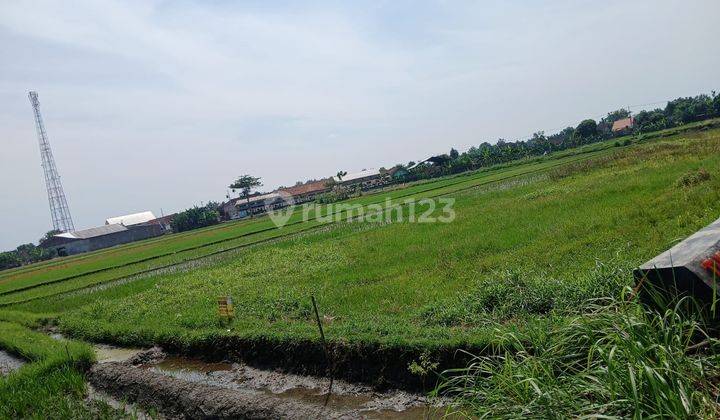 Dijual Tanah di Gatak, Sukoharjo Posisi Hook Dapat 2 Jalan Cocok Dipecah Kavling 1