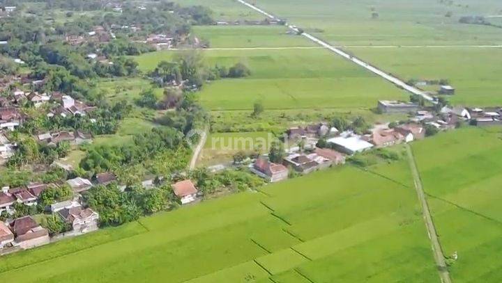 Dijual Tanah 2Ha, Strategis di Jalur Lingkar Sidoharjo, Sragen 1