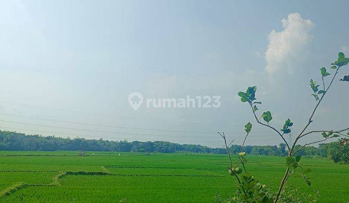 Dijual Tanah 2Ha, Strategis di Jalur Lingkar Sidoharjo, Sragen 2