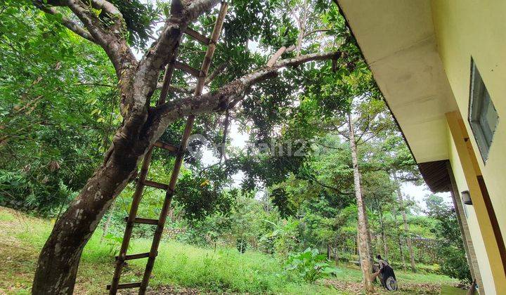 Dijual Rumah Mewah Estetik di Mojogedang, Karanganyar 2