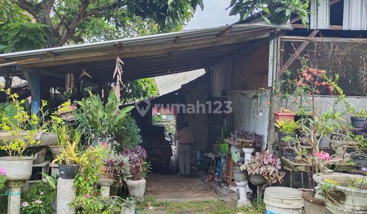 Dijual Tanah Bonus Bangunan di Tabanan, Bali 2