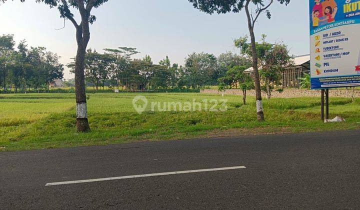 Tanah Sawah Strategis di Jalan Lawu Popongan, Karanganyar 1