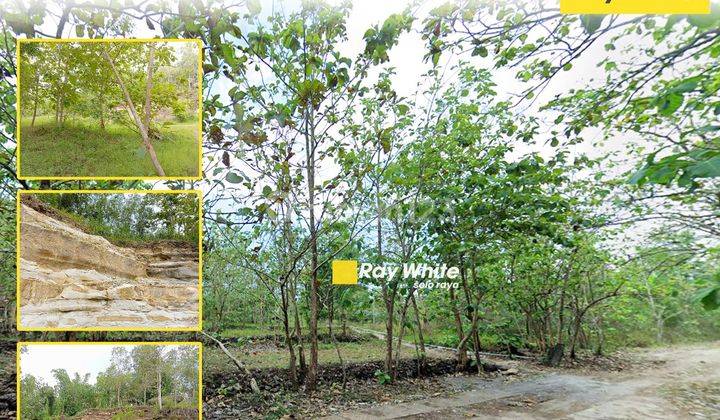 Dijual Tanah Pekarangan di Manyaran, Wonogiri 1