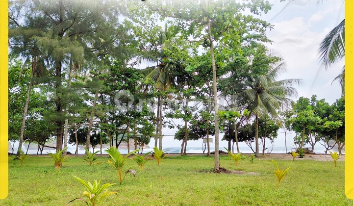 Land for Sale and Rent in Watu Karung Beach Tourist Area, Pacitan
