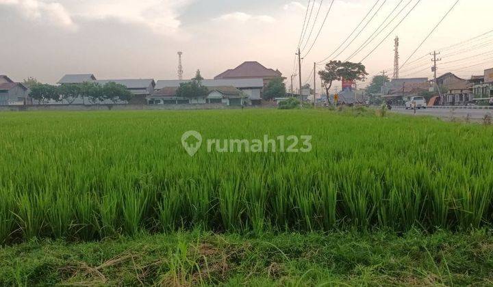 Dijual Tanah Strategis di Jl. Solo sragen, Duyungan 2