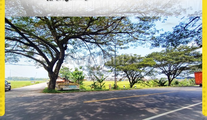 Industrial Zone Land with Container Access in Sragen-Ngawi