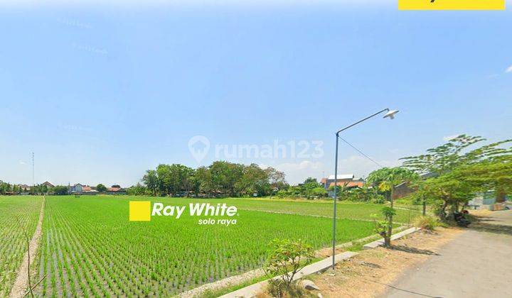 Dijual Tanah Sawah Cocok Untuk Perumahan Gudang di Kwarasan, Grogol 2