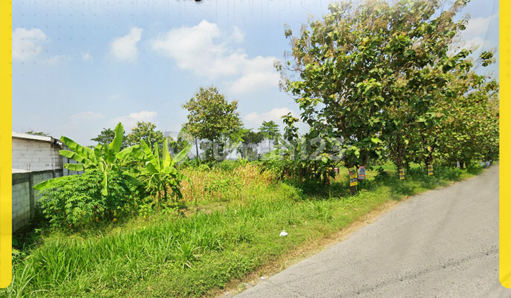 Potential Land in Jeron Nogosari Boyolali - Industrial Zone! Potential Land in Jeron Nogosari Boyolali - Industrial Zone!