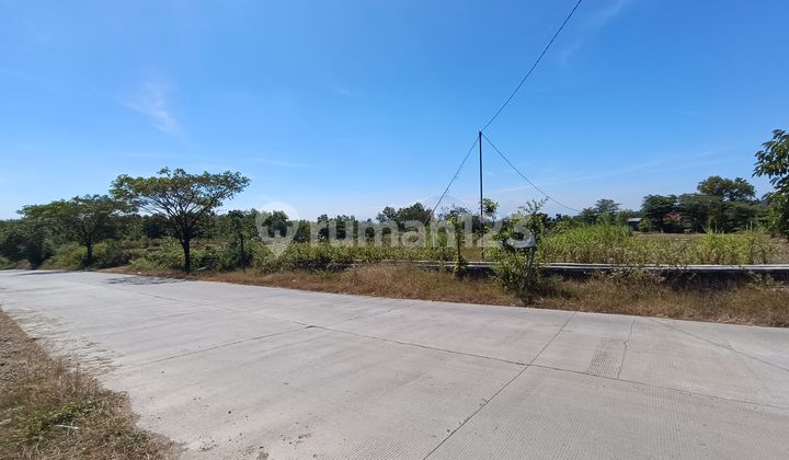 Land Near Krisak Reservoir Wonogiri, Suitable for Warehouses & Tourism.