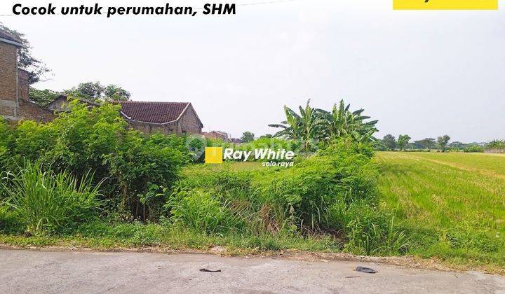 Dijual Tanah Luas Cocok Untuk Perumahan di Kadilangu, Baki 1