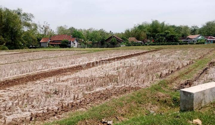 Dijual Tanah Luas Cocok Untuk Perumahan di Selogiri, Wonogiri 2