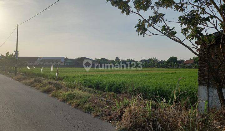 Tanah Zona Kuning Lokasi Dekat Dengan Pasar Gawok, Gatak 1