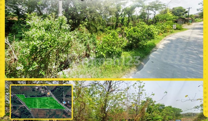 Tanah 1,3 Hektar Cocok Untuk Perumahan di Gondangrejo,Karanganyar Tanah 1,3 Hektar Cocok Untuk Perumahan di Gondangrejo,Karanganyar