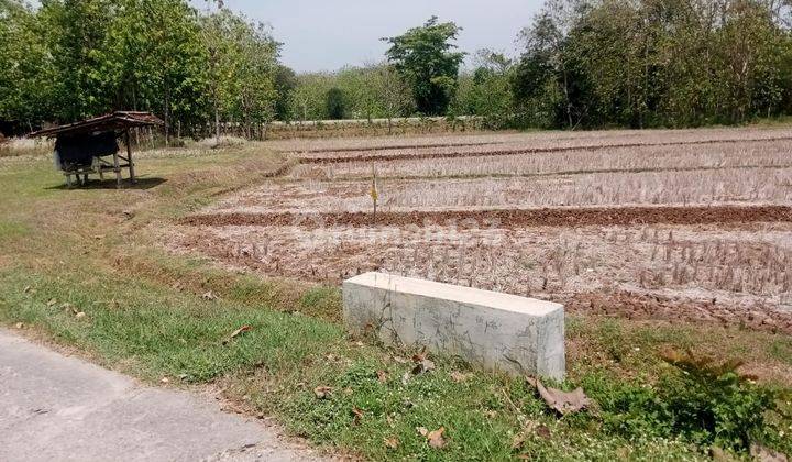 Dijual Tanah Luas Cocok Untuk Perumahan di Selogiri, Wonogiri 1