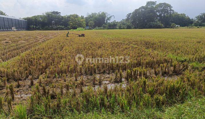 Dijual Tanah Sawah Akses Jalan Lebar di Pandeyan, Tasikmadu, Karanganyar 1