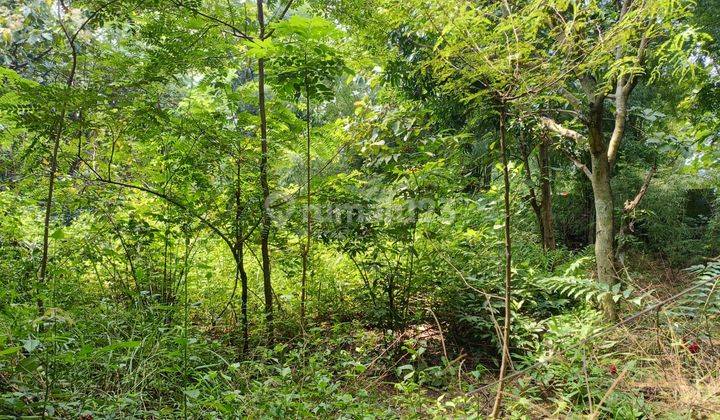 Dijual Gudang/Tanah Terbengkalai di Bangak, Sambi, Boyolali 2