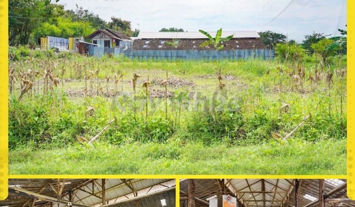 Tanah Bonus Bangunan, Ex Peternakan, di Jeruksawit, Gondangrejo Tanah Bonus Bangunan, Ex Peternakan, di Jeruksawit, Gondangrejo