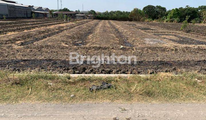 Tanah Siap Bangun di Raya Domas, Menganti. Gresik Akses Mudah 1