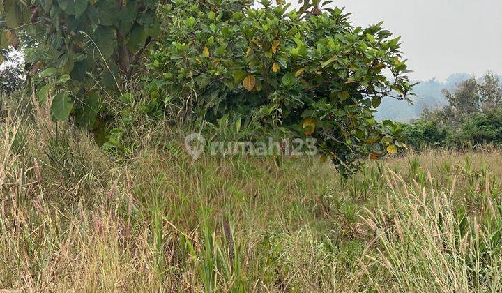 Nol Jalan Raya Jetis, Mojokerto Kawasan Industri Akses Strategis 1